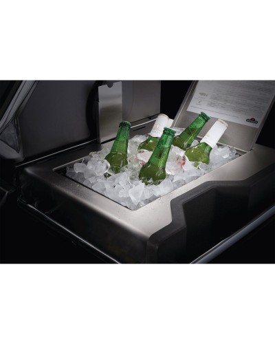 BARBACOA NAPOLEON PRESTIGE PRO 825 RSBIP-SS INOX