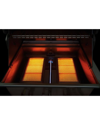 BARBACOA NAPOLEON PRESTIGE PRO 825 RSBIP-SS INOX