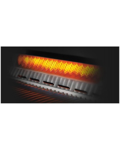 BARBACOA NAPOLEON SERIE 700 44'' BIG44RBPSS  CON QUEMADOR TRASERO INFRARROJO DUAL INOX EMPOTRADA - 110 cm