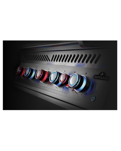 BARBACOA NAPOLEON SERIE 700 44'' BIG44RBPSS  CON QUEMADOR TRASERO INFRARROJO DUAL INOX EMPOTRADA - 110 cm