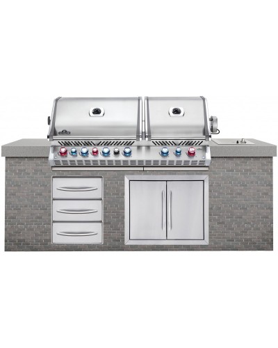 BARBACOA NAPOLEON PRESTIGE PRO 825  INOX EMPOTRADA BIPPRO825RBIPSS-3-ES