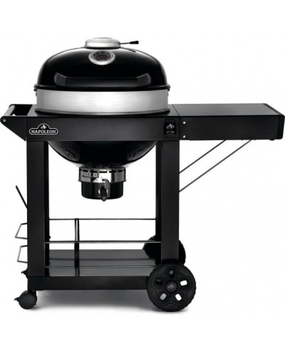 BARBACOA CARBON NAPOLEON PRO 22CART LEG 3 57CM
