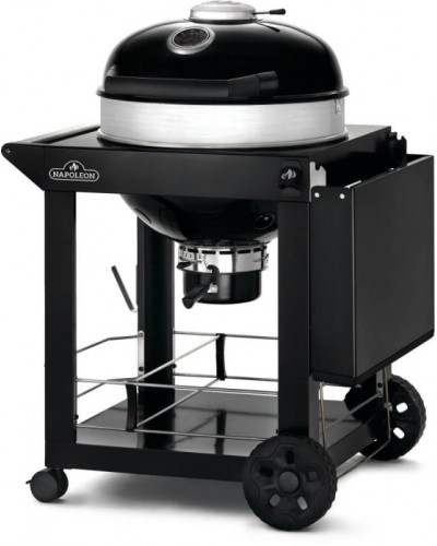 BARBACOA CARBON NAPOLEON PRO 22CART LEG 3 57CM