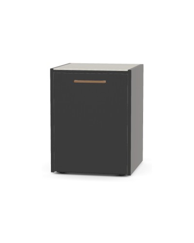 Módulo con una Puerta CT-60 Brabura