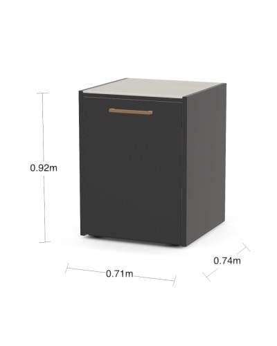 Módulo con una Puerta CT-60 Brabura
