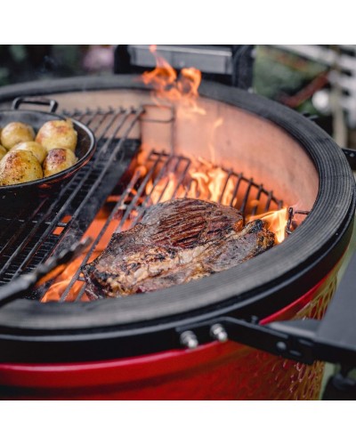 Kamado Joe Classic II con carro + libro de regalo