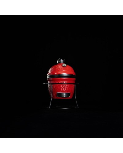 Kamado Joe junior