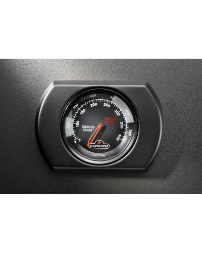 Barbacoa gas NAPOLEONPhantom Rogue® PRO-S 425 RSIB NEGRA