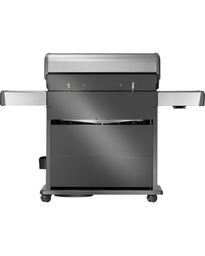 Barbacoa gas Napoleon Rogue® PRO-S 625 RSIBPSS-2