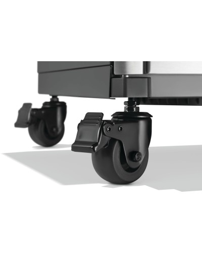 BARBACOA NAPOLEON Prestige® 665 Connected RSIB    CON QUEMADOR LATERAL Y TRASERO INFRARROJOS INOX