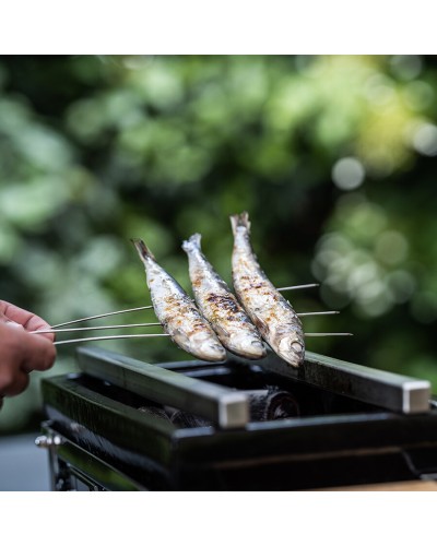 Barras Yakitori YAKINIKU® para Shichirin Rectangular MEDIUM – Pack 2