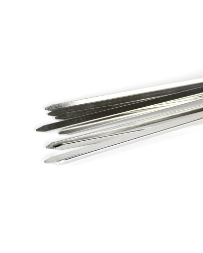 Brochetas BBQ Flavour Acero Inoxidable con Tubo de Almacenamiento