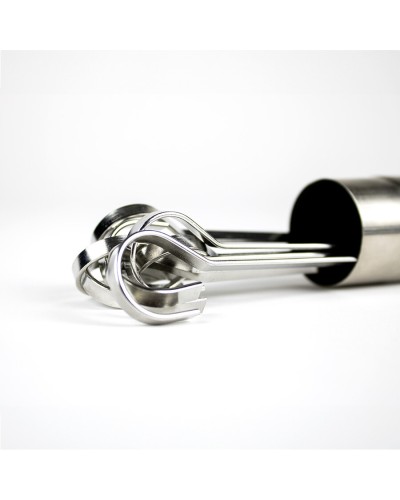 Brochetas BBQ Flavour Acero Inoxidable con Tubo de Almacenamiento