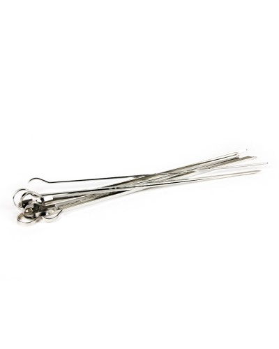 Brochetas BBQ Flavour Acero Inoxidable con Tubo de Almacenamiento