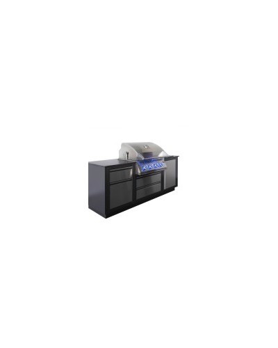 Cocina al aire libre OASIS™ 105 con parrilla de gas de 81 cm