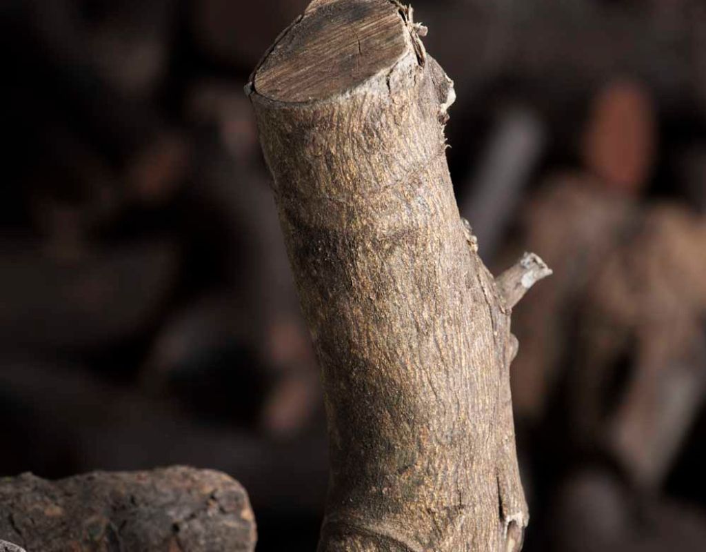 leña de naranjo